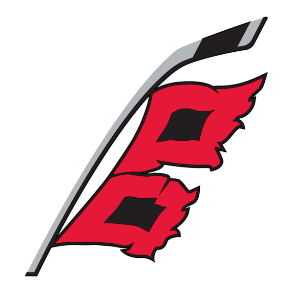 Game one was NOT the Hurricanes we know and love ... game two WILL be!