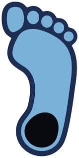 I'm a Tar Heel born!