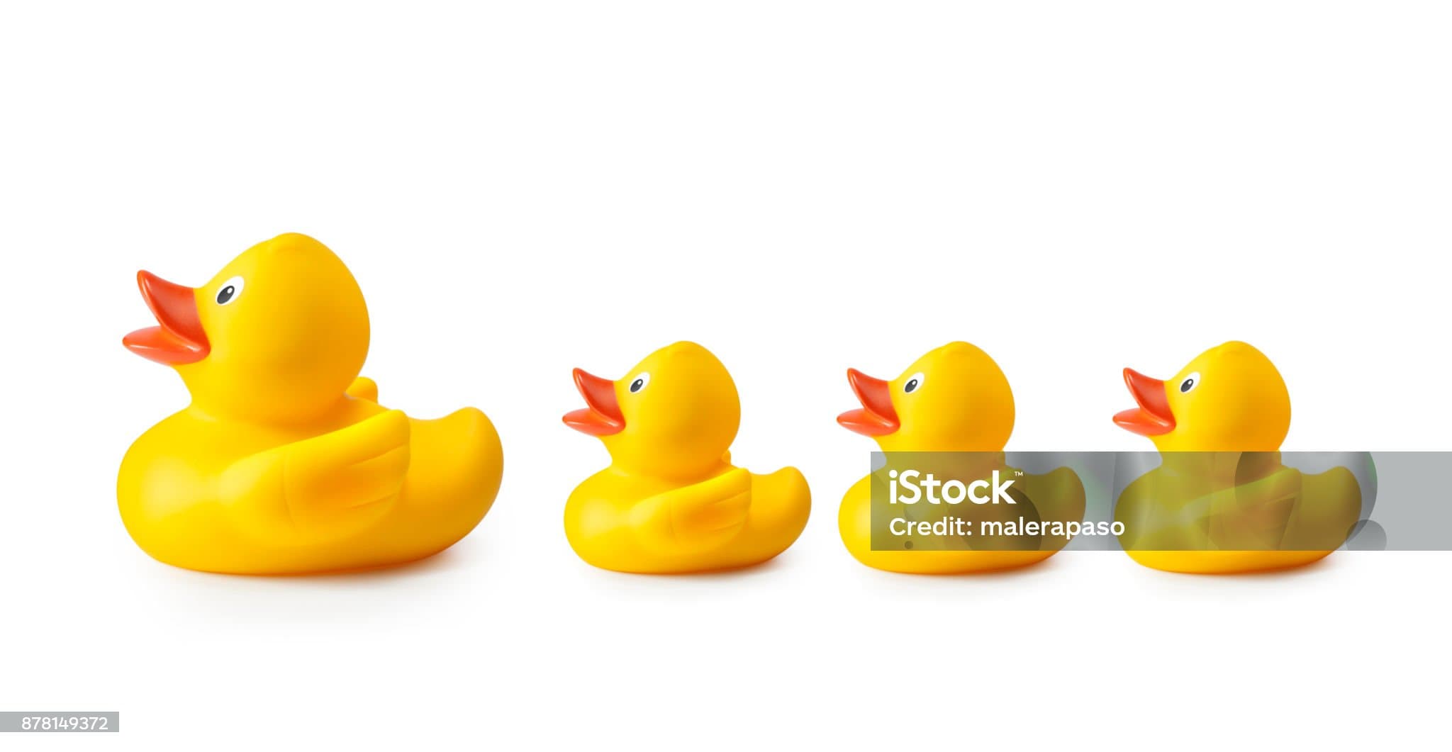 Quack Quack baby!